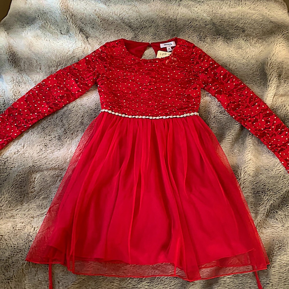 Red Floral Lace Long Sleeve Dress